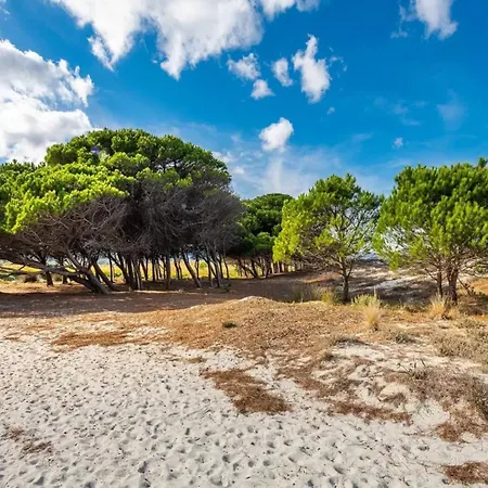 Cozy Near The Sea * Santa Lucia (Sardinia)