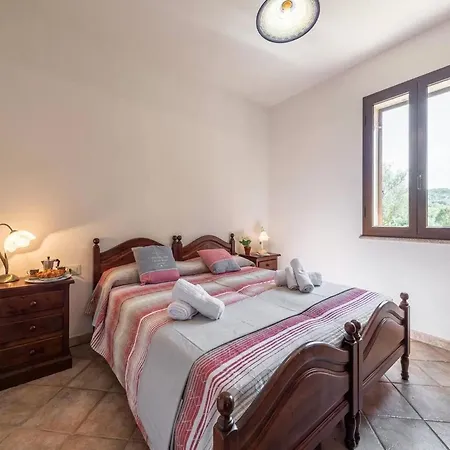 Apartment Cozy Near The Sea *